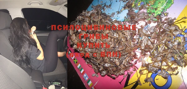 прущая мука Гусев