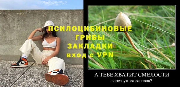 прущие крисы Гусь-Хрустальный