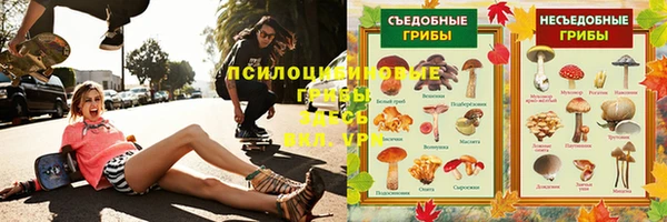 прущая мука Гусев